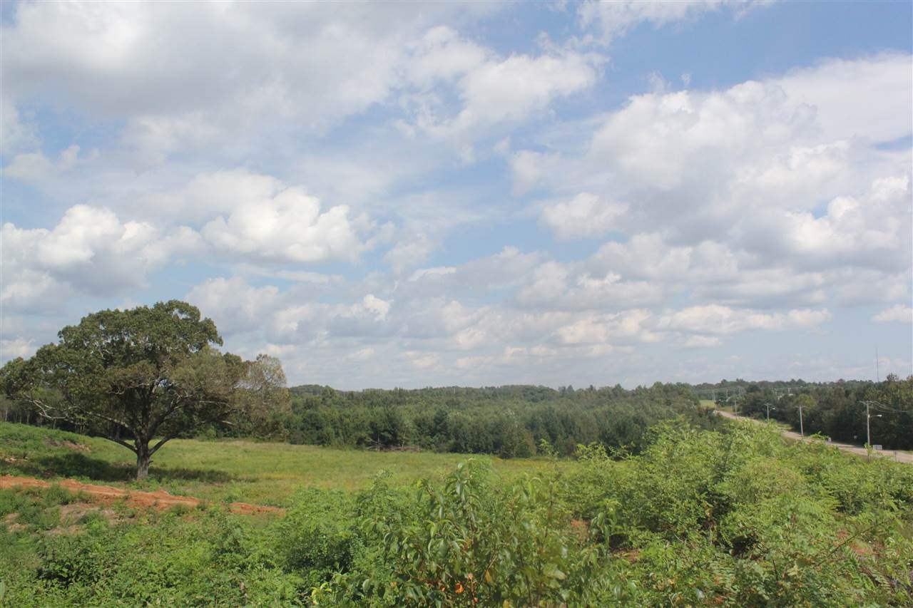 0 Highway 7 N Road Holly Springs, MS 38635 - Photo 5 of 13 Gallery Image 5