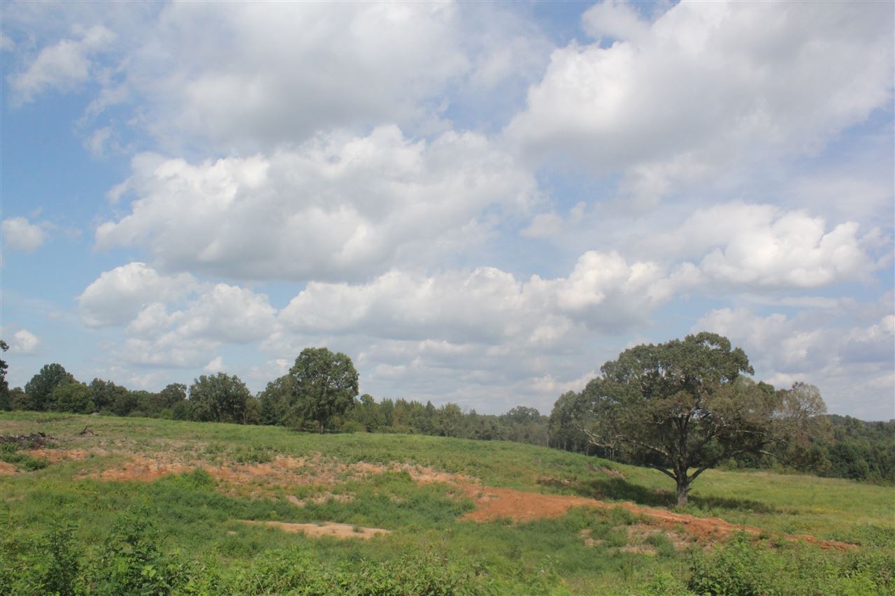 0 Highway 7 N Road Holly Springs, MS 38635 - Photo 6 of 13 Gallery Image 6