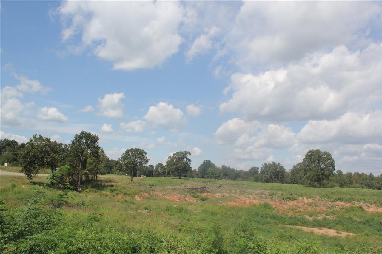 0 Highway 7 N Road Holly Springs, MS 38635 - Photo 7 of 13 Gallery Image 7