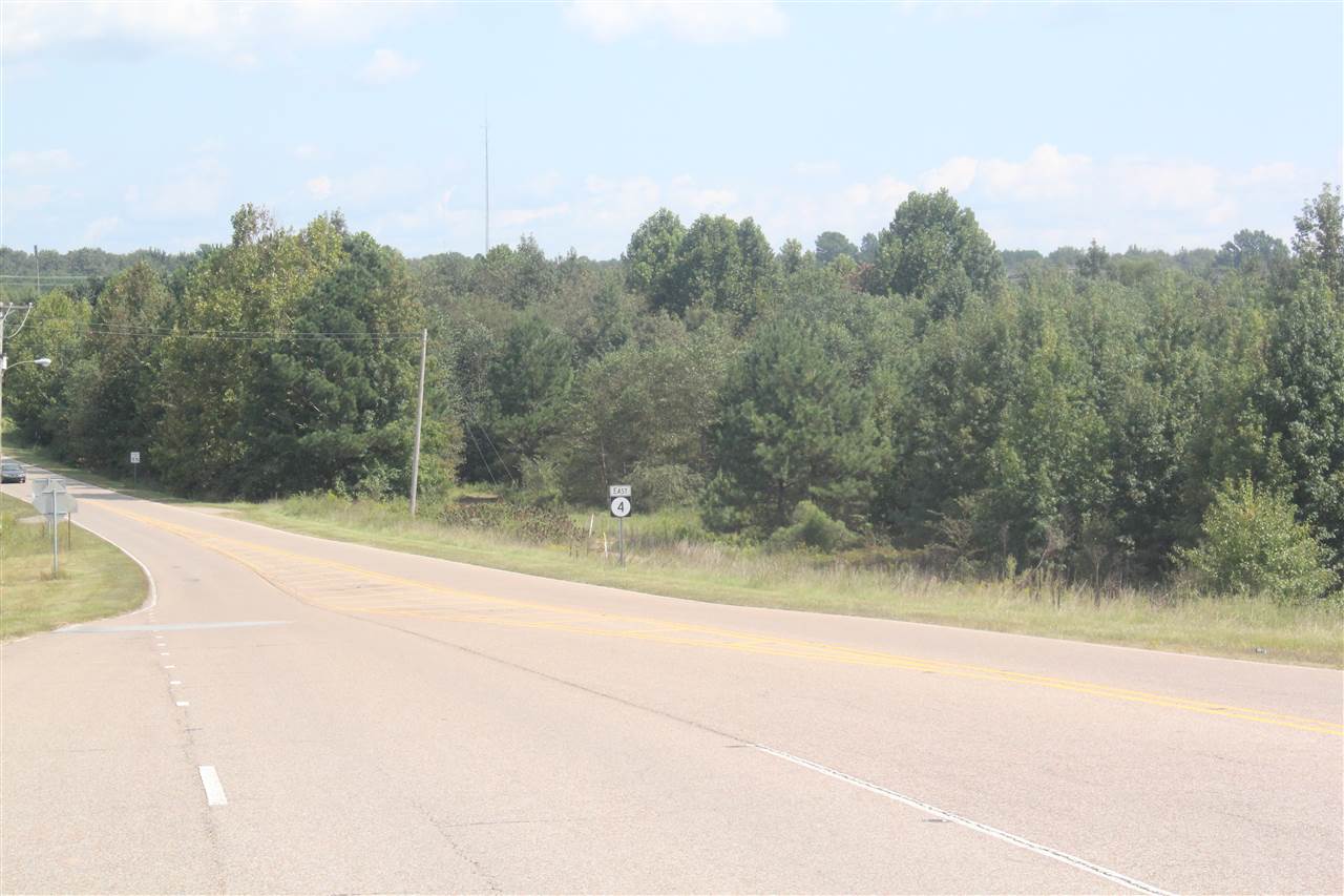 0 Highway 7 N Road Holly Springs, MS 38635 - Photo 10 of 13 Gallery Image 10