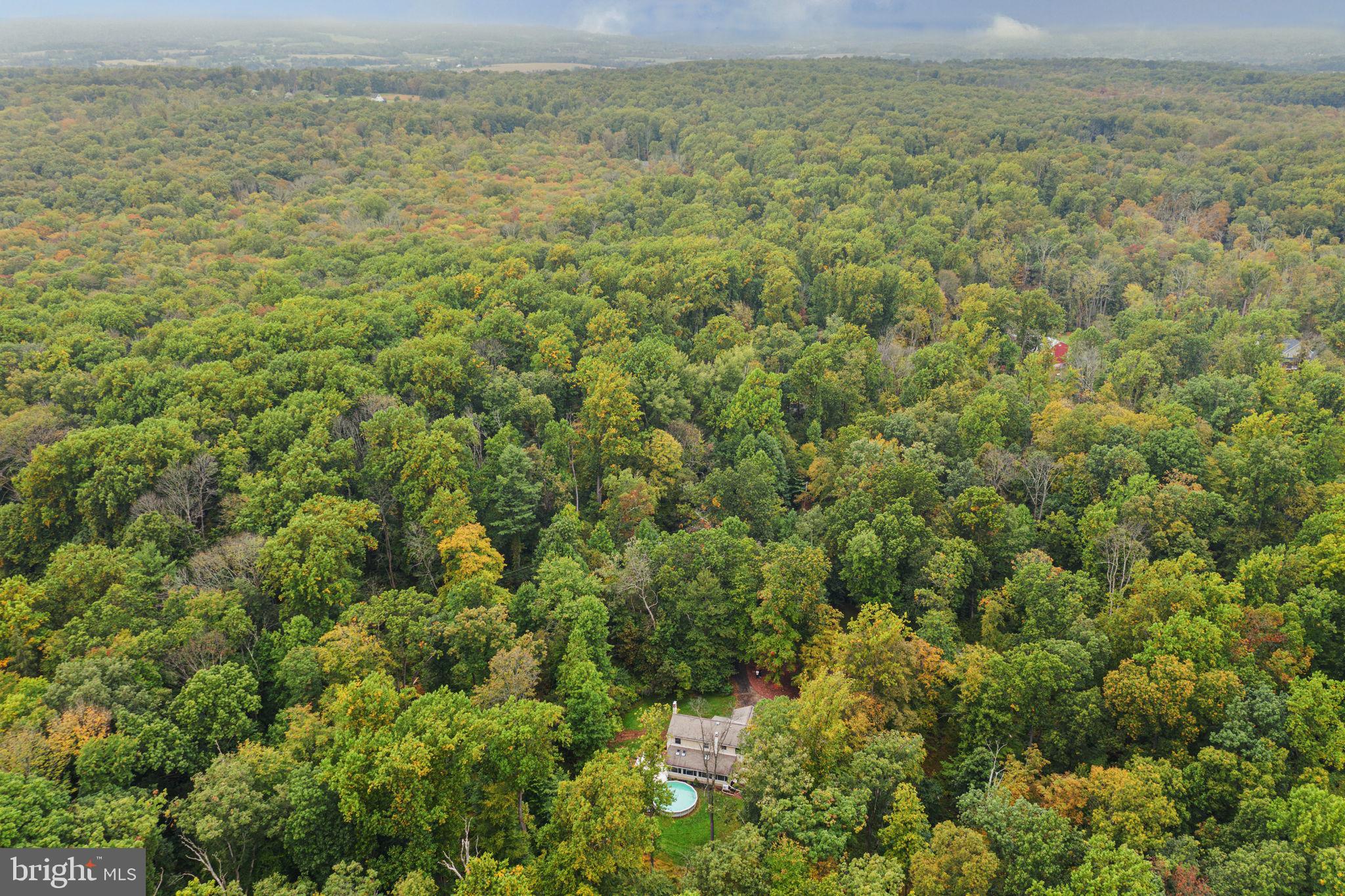 1447 Reed Lane Kintnersville, PA 18930 - Photo 35 of 39 Aerial View