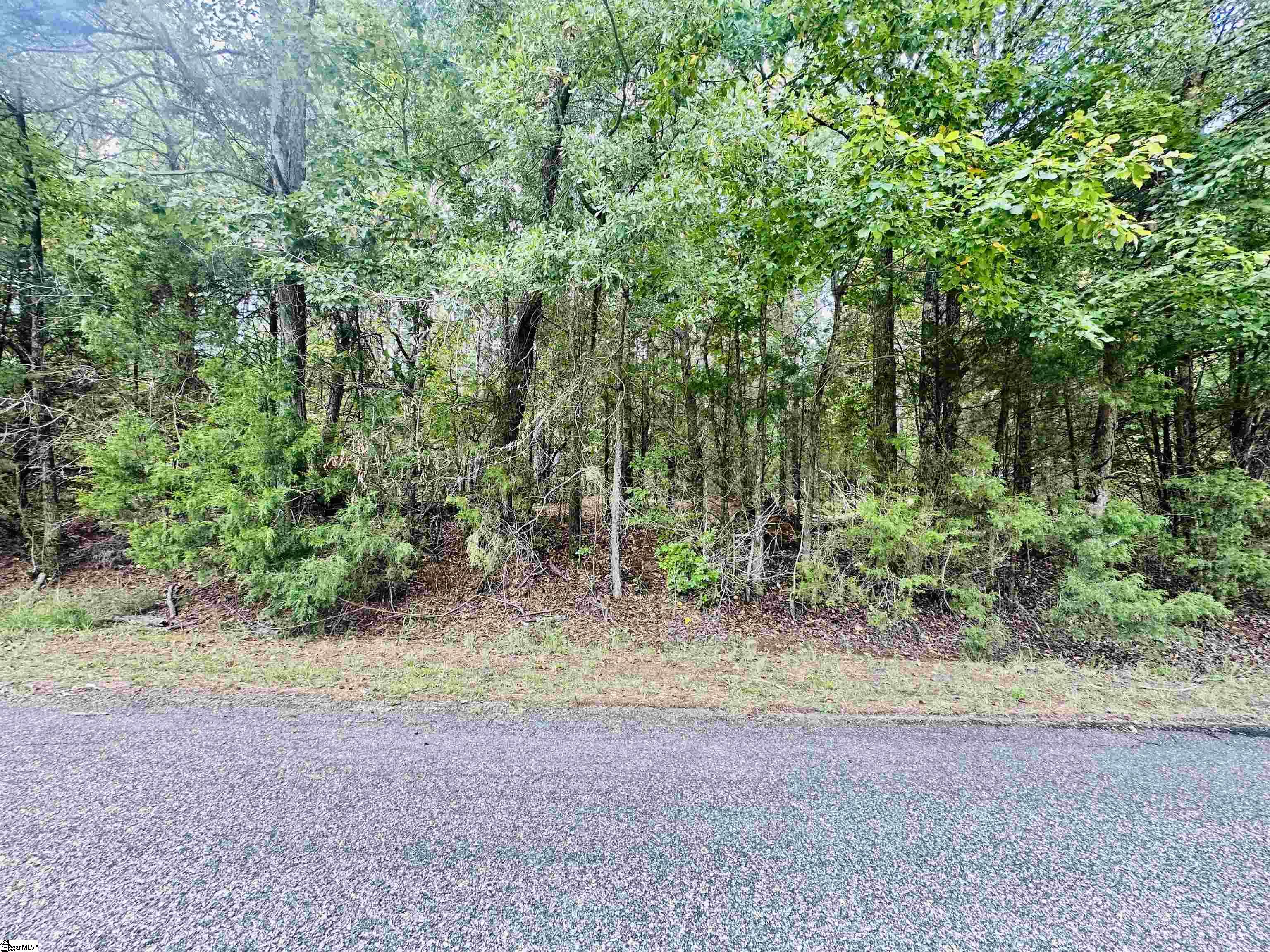 0 Metric Road Gray Court, SC 29645 - Photo 10 of 14 Gallery Image 10