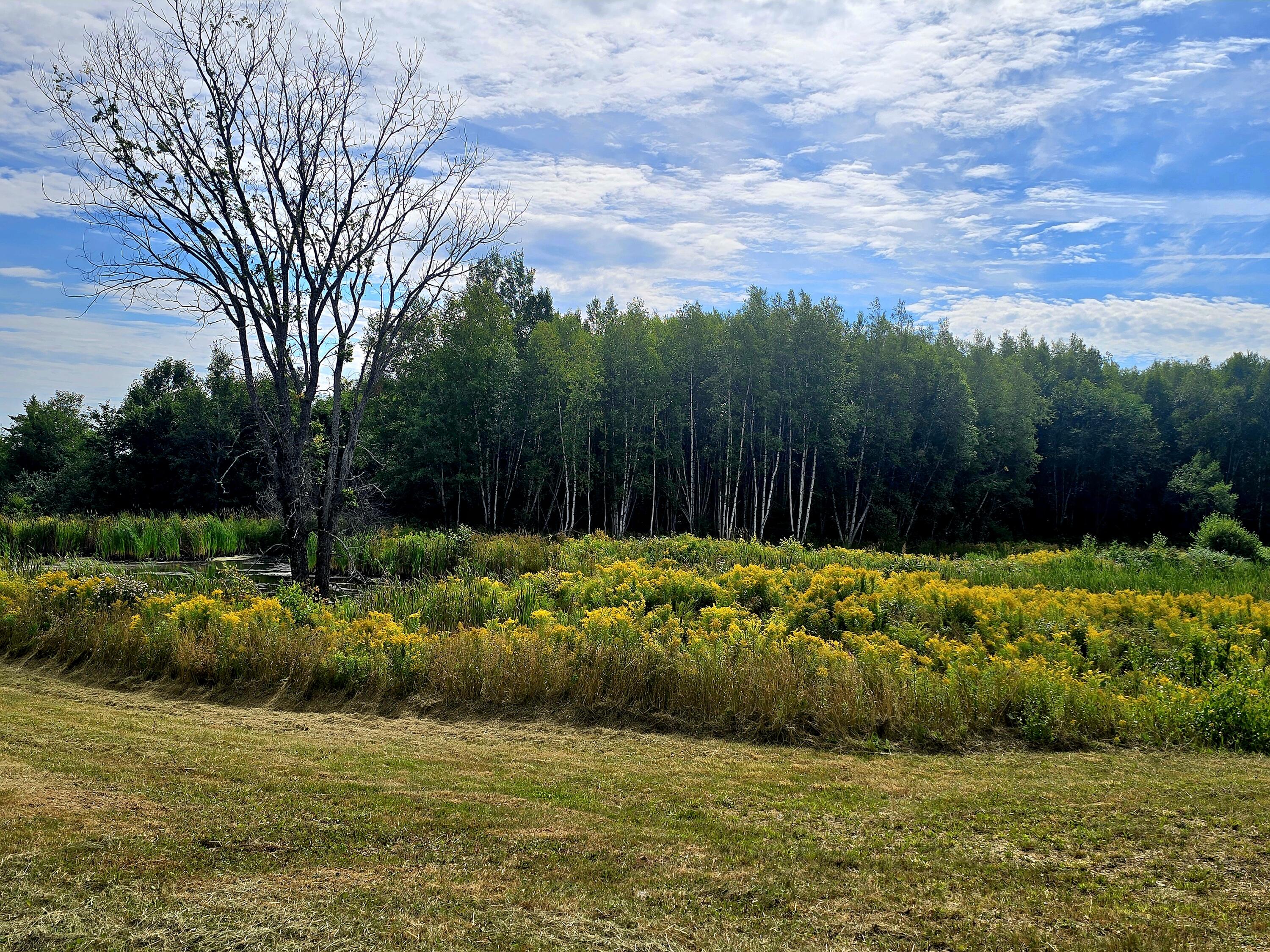 96 West Ridge Road Littleton, ME 04730 - Photo 44 of 53 20250823_103515