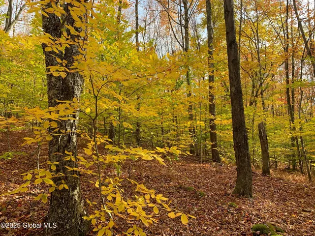 $85,000 | 1 Alder Pond Road, Bovina, NY 13731