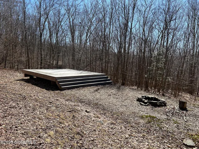 $85,000 | 1 Alder Pond Road, Bovina, NY 13731