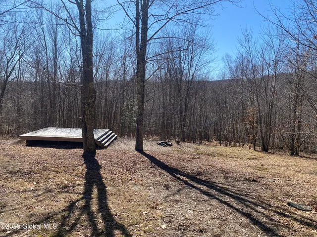 $85,000 | 1 Alder Pond Road, Bovina, NY 13731