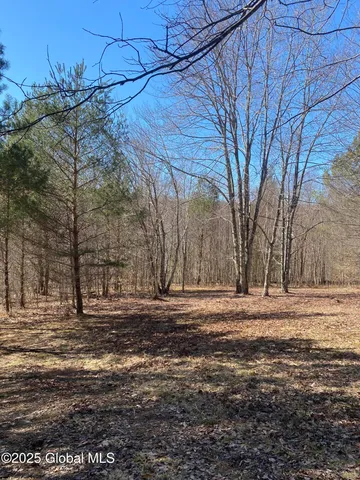 $85,000 | 1 Alder Pond Road, Bovina, NY 13731