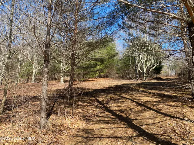 $85,000 | 1 Alder Pond Road, Bovina, NY 13731