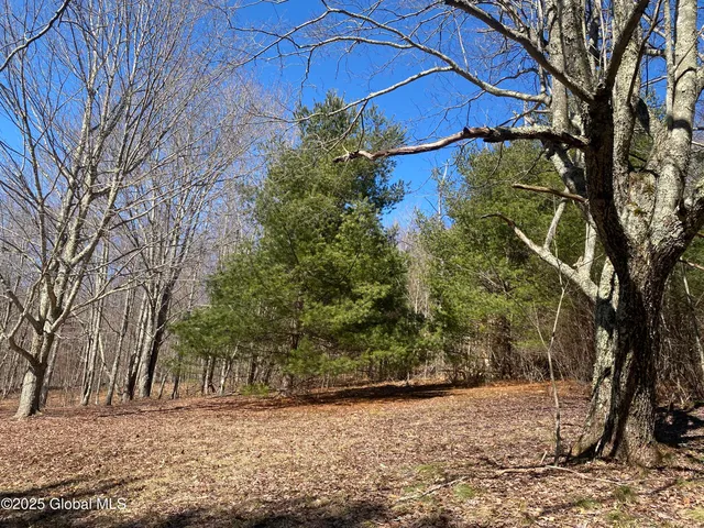 $85,000 | 1 Alder Pond Road, Bovina, NY 13731