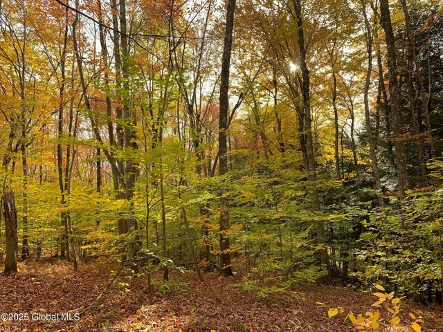 $85,000 | 1 Alder Pond Road, Bovina, NY 13731