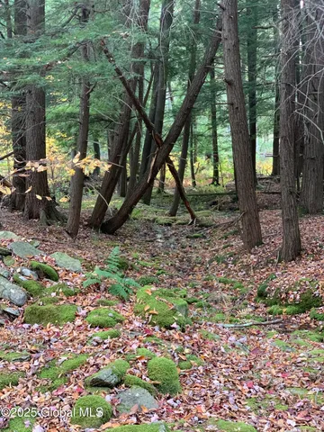 $85,000 | 1 Alder Pond Road, Bovina, NY 13731