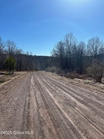 $85,000 | 1 Alder Pond Road, Bovina, NY 13731