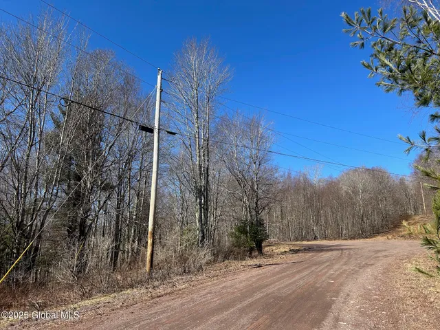 $85,000 | 1 Alder Pond Road, Bovina, NY 13731