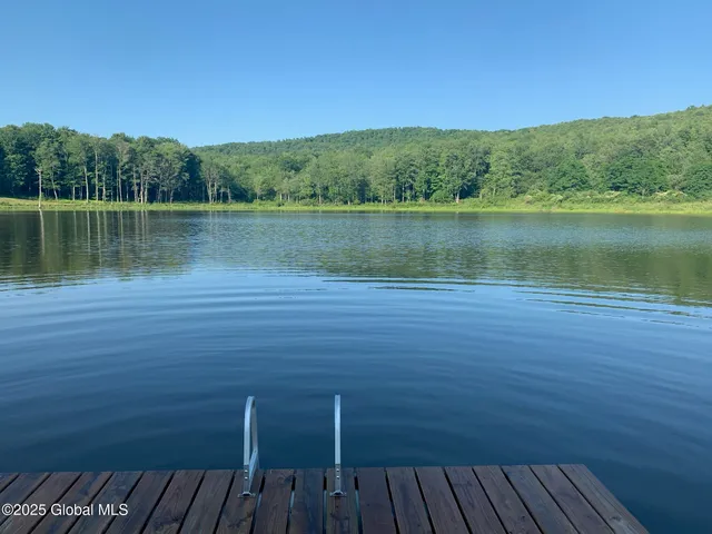 $85,000 | 1 Alder Pond Road, Bovina, NY 13731