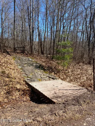 $85,000 | 1 Alder Pond Road, Bovina, NY 13731