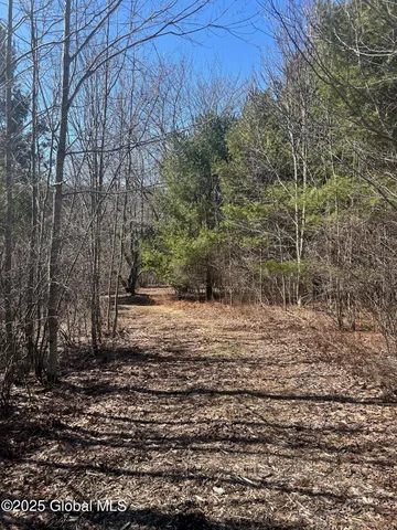 $85,000 | 1 Alder Pond Road, Bovina, NY 13731