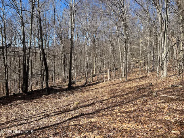 $85,000 | 1 Alder Pond Road, Bovina, NY 13731