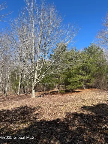 $85,000 | 1 Alder Pond Road, Bovina, NY 13731