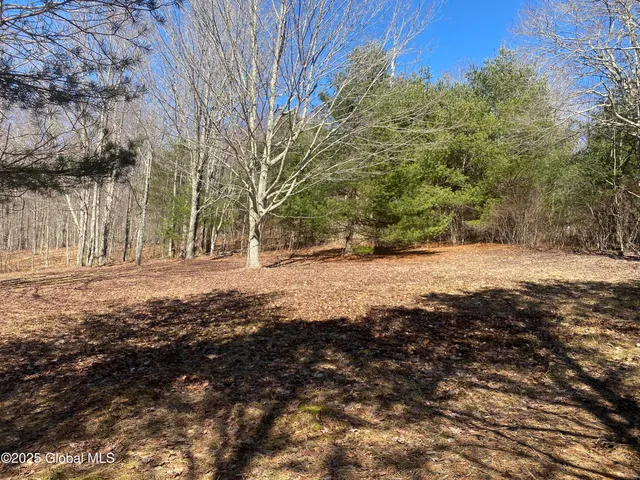 $85,000 | 1 Alder Pond Road, Bovina, NY 13731