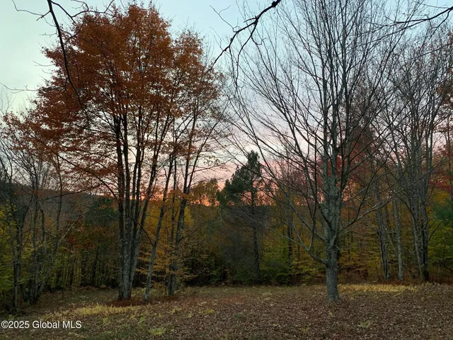 $85,000 | 1 Alder Pond Road, Bovina, NY 13731