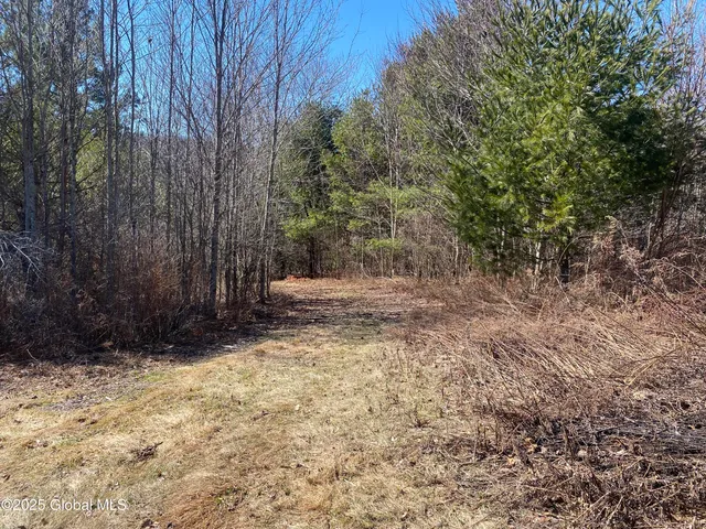 $85,000 | 1 Alder Pond Road, Bovina, NY 13731