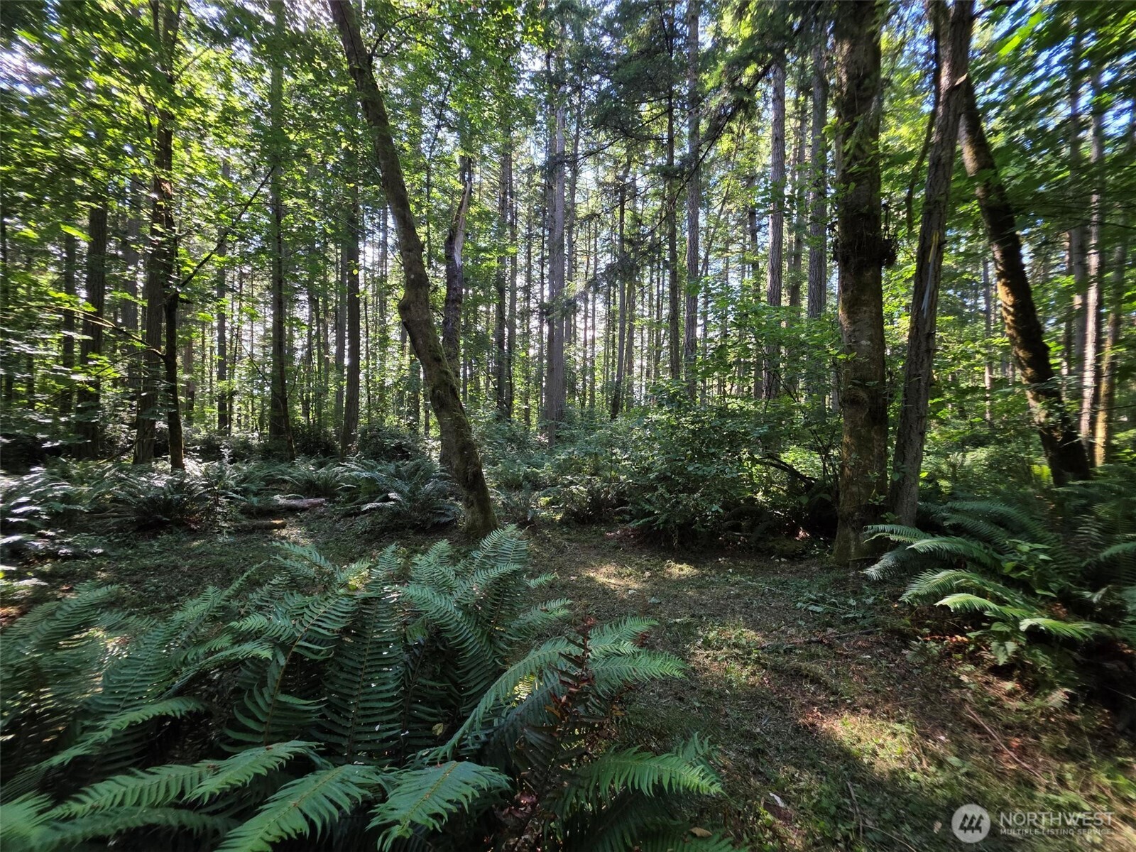 23601 Landers Road Southwest Vashon, WA 98070 - Photo 18 of 21 Gallery Image 18