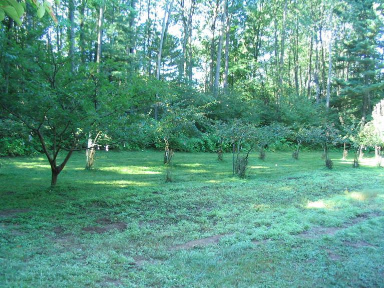 11333 North Backus Road Lakeview, MI 48850 - Photo 21 of 23 Additional Photo