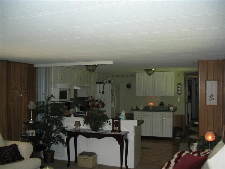 11333 North Backus Road Lakeview, MI 48850 - Photo 4 of 23 Additional Photo