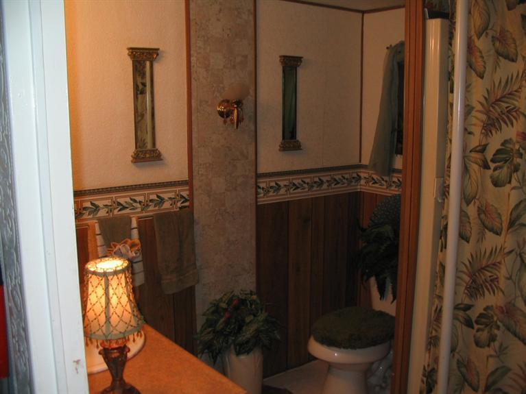 11333 North Backus Road Lakeview, MI 48850 - Photo 8 of 23 Additional Photo
