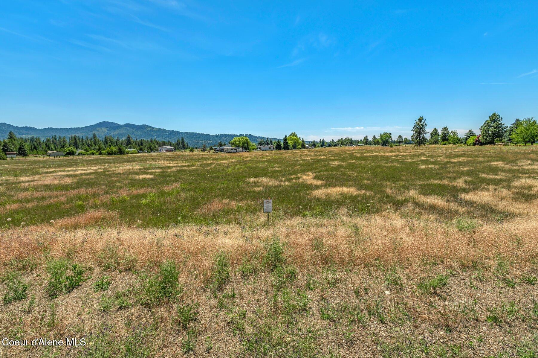Lot 13 Asulkan Street Athol, ID 83801 - Photo 6 of 8 --12.jpg-SMALL