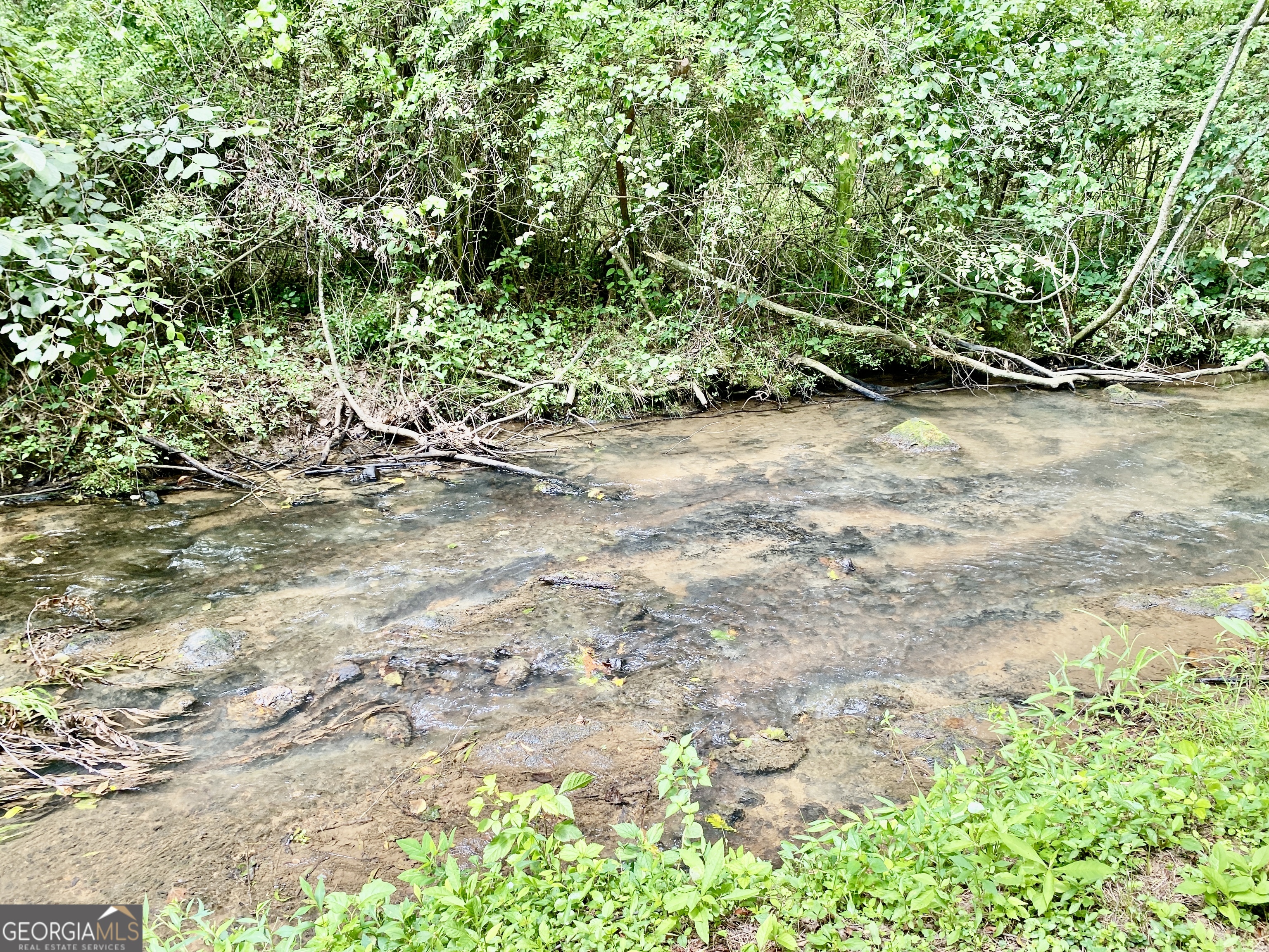 0 Booze Mountain Road Lindale, GA 30147 - Photo 2 of 5 a view of a yard with plants and large trees
