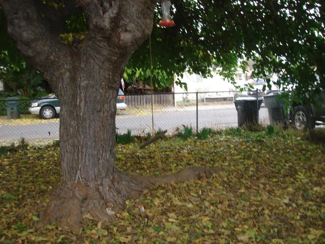 $335,000 | 348 Archway Avenue, Rio Linda, CA 95673