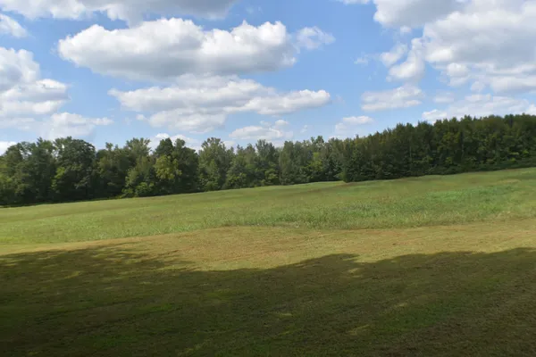 a view of a field with an ocean