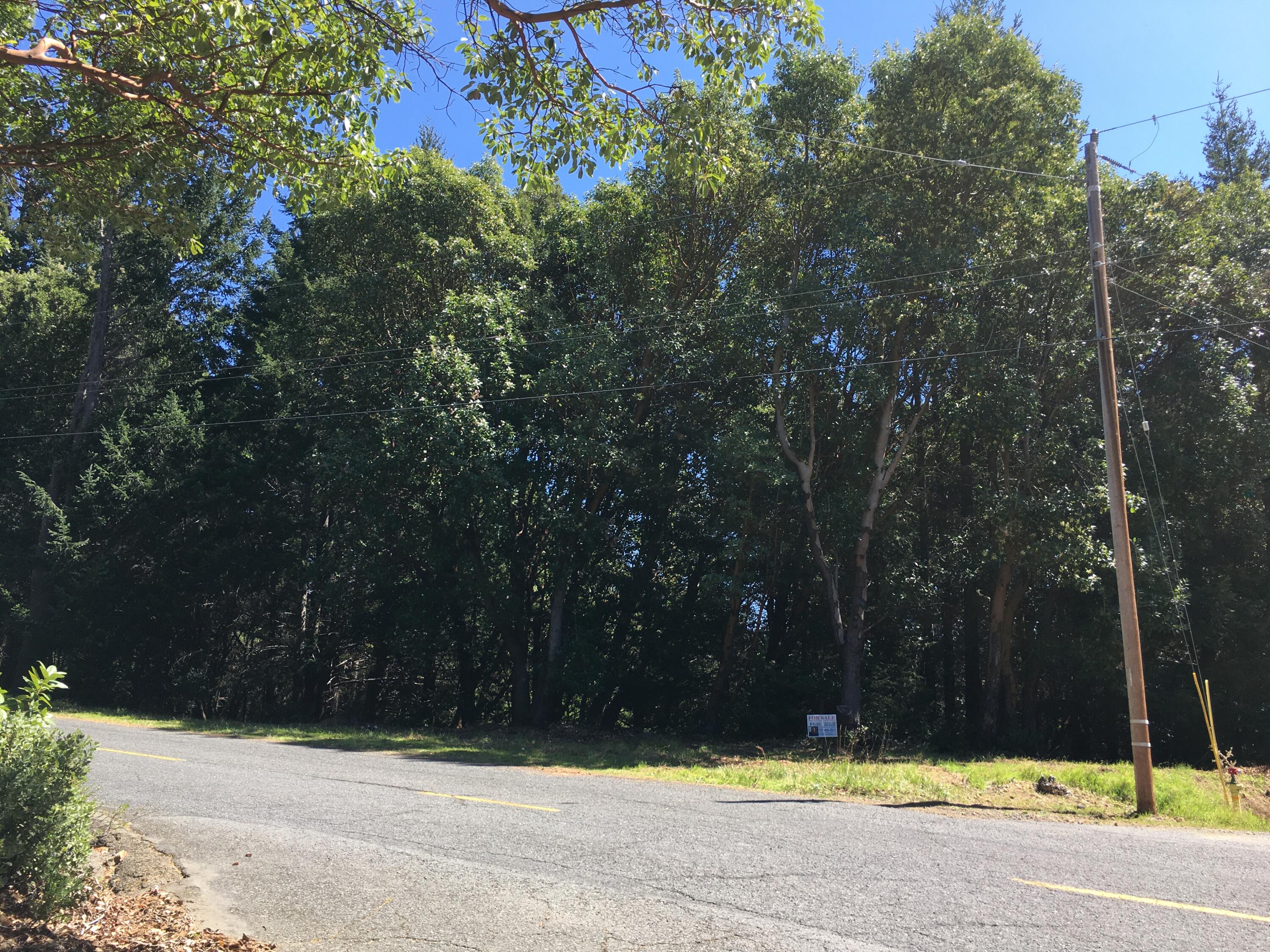 1199 Toth Road Shelter Cove, CA 95589 - Photo 1 of 5 Corner lot