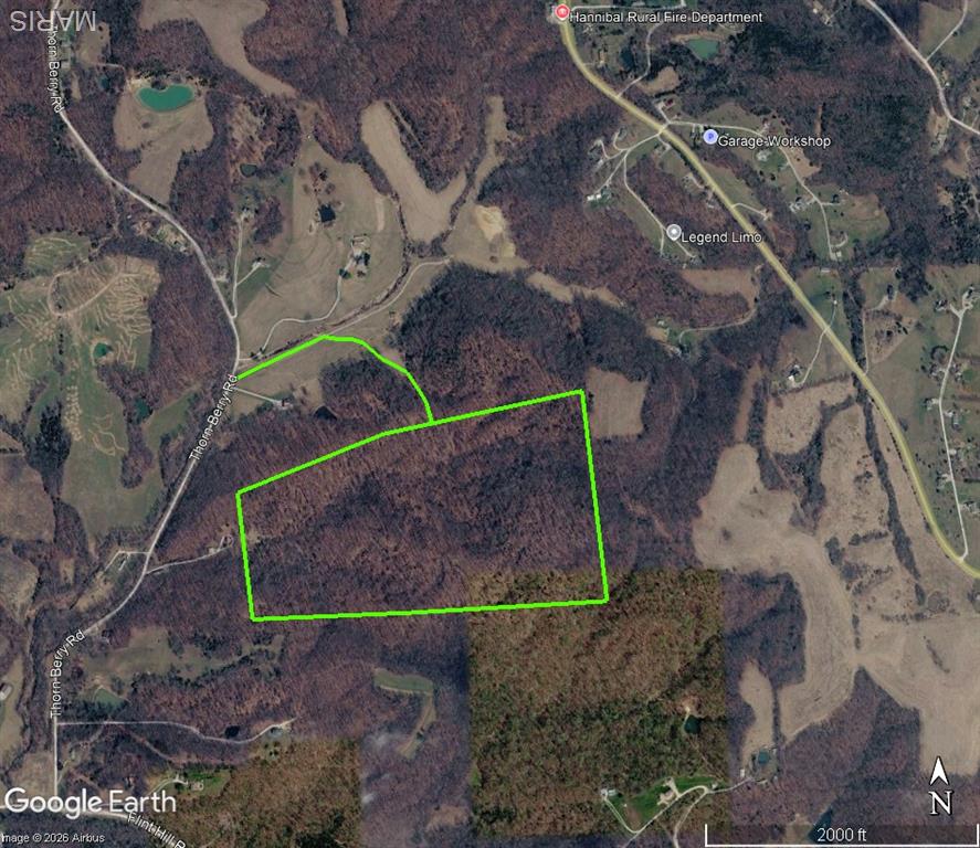 13628 Thorn Berry Road New London, MO 63459 - Photo 2 of 9