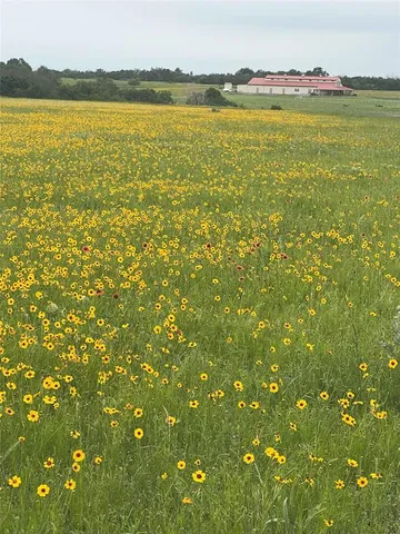 $2,995,000 | 2801 Agnes Circle, Springtown, TX 76082