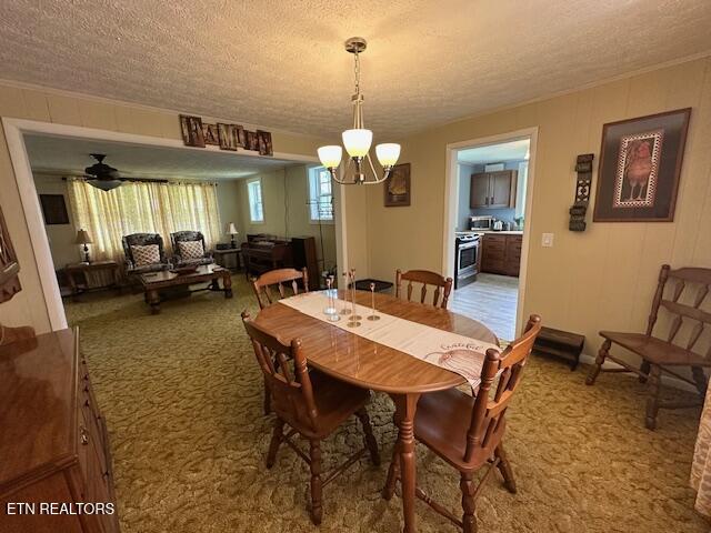 863 Giles Hollow Road Rose Hill, VA 24281 - Photo 15 of 24 IMG_0225