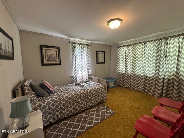 863 Giles Hollow Road Rose Hill, VA 24281 - Photo 21 of 24 IMG_0228