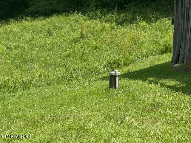 863 Giles Hollow Road Rose Hill, VA 24281 - Photo 10 of 24 IMG_0213