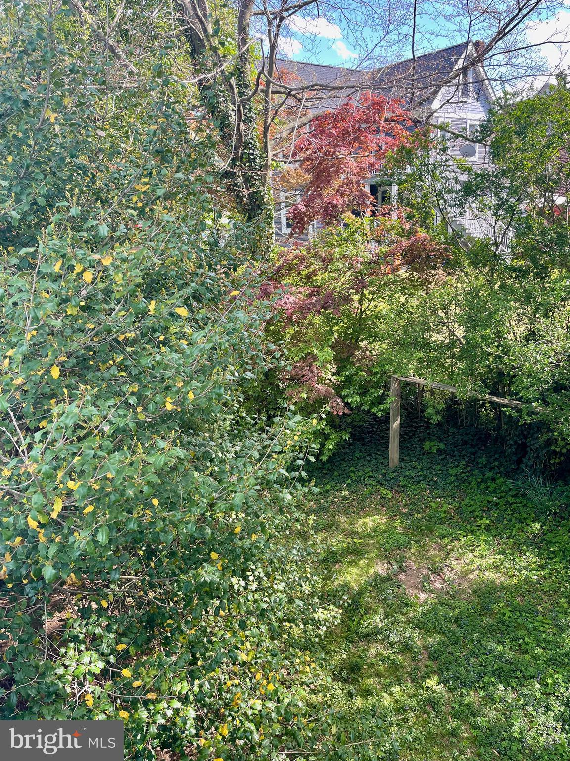 119 Robbins Avenue Jenkintown, PA 19046 - Photo 54 of 65 a view of a yard with plants and a bench