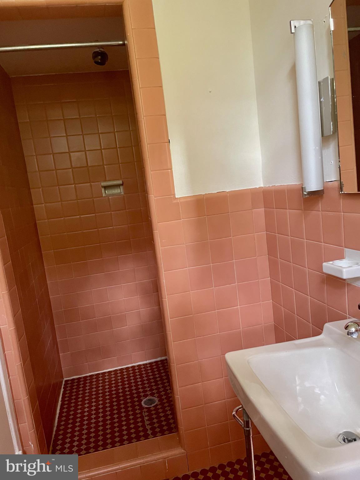 119 Robbins Avenue Jenkintown, PA 19046 - Photo 57 of 65 a bathroom with a sink and a shower