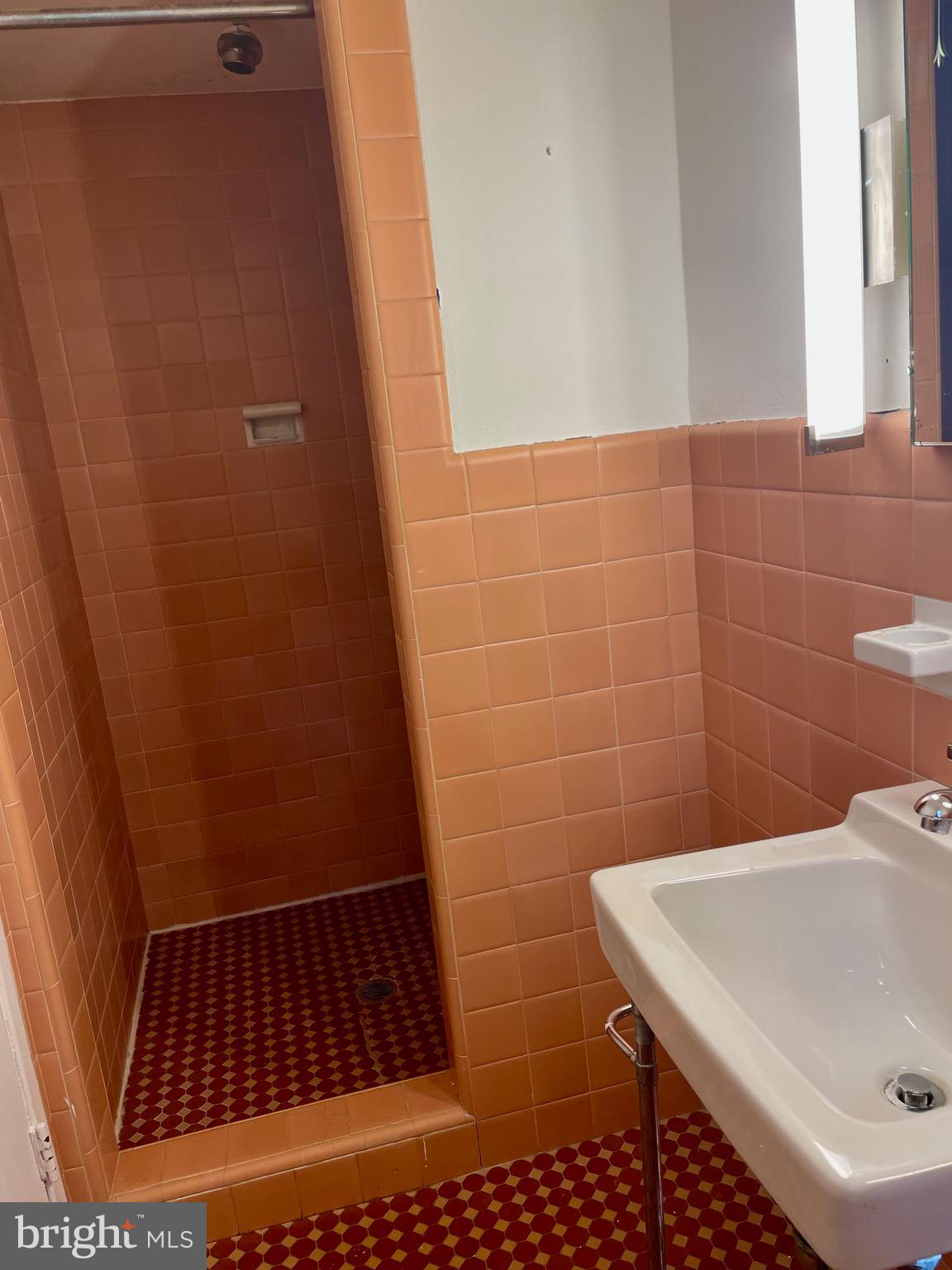 119 Robbins Avenue Jenkintown, PA 19046 - Photo 58 of 65 a bathroom with a sink and a shower
