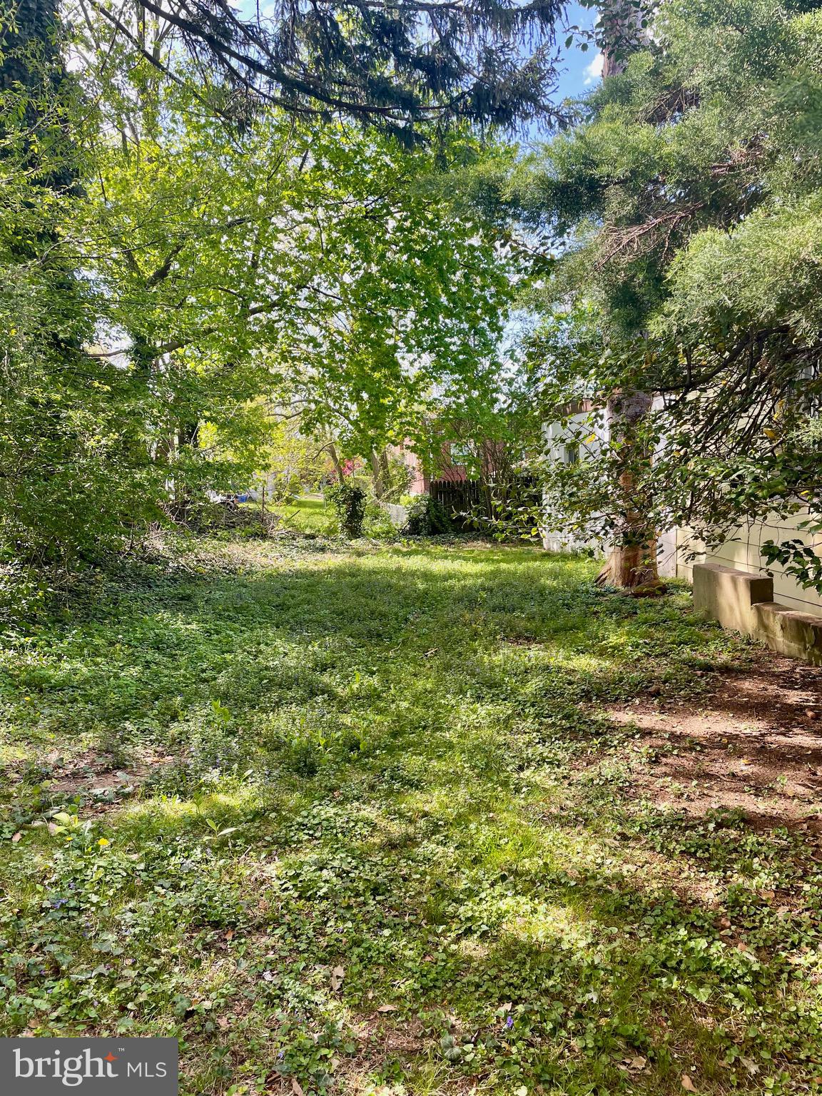119 Robbins Avenue Jenkintown, PA 19046 - Photo 63 of 65 a view of a field with a tree