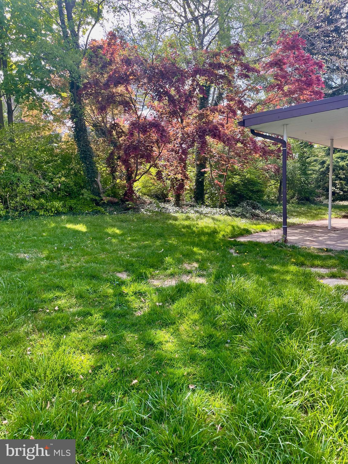 119 Robbins Avenue Jenkintown, PA 19046 - Photo 65 of 65 a view of a backyard with large trees