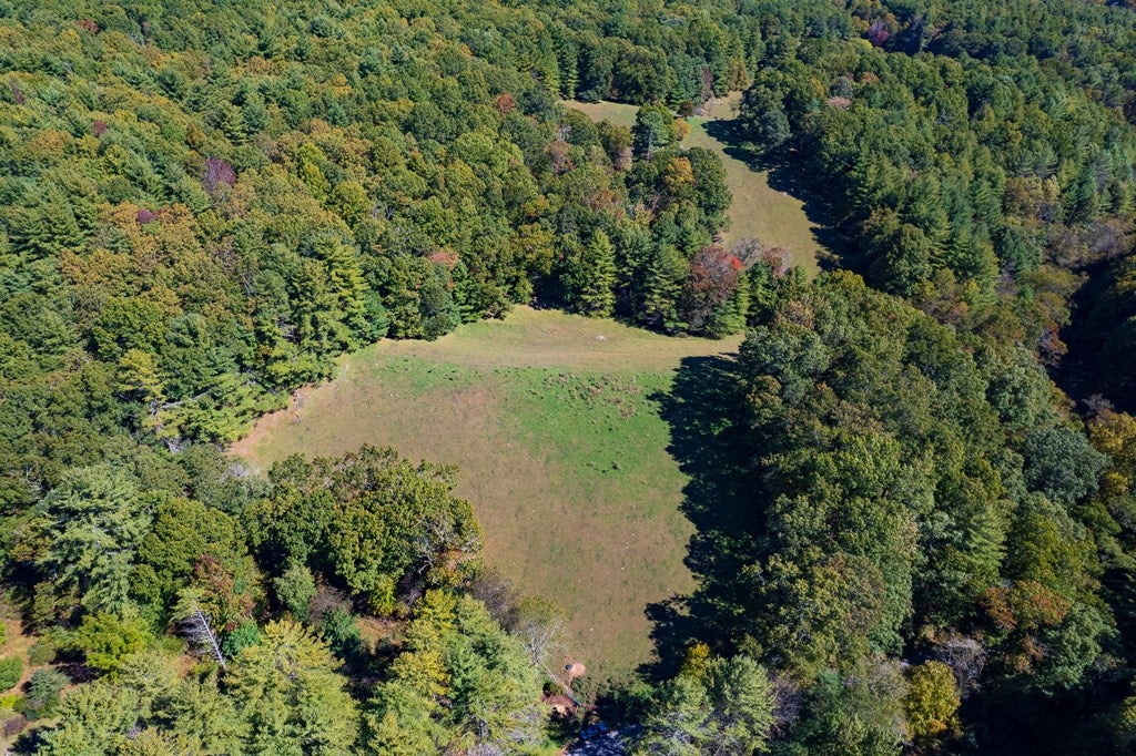 Tbd Gold Hill Road Independence, VA 24348 - Photo 16 of 21 Gallery Image 16