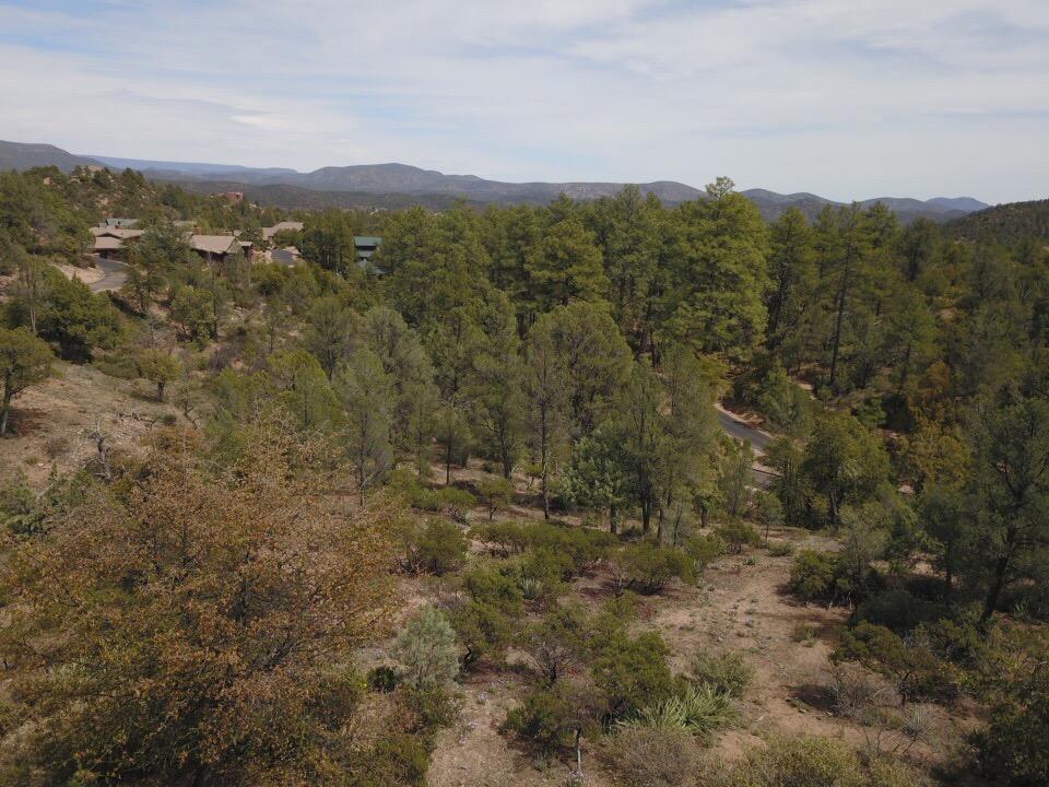 106 South Stewart Vista Road Payson, AZ 85541 - Photo 2 of 7