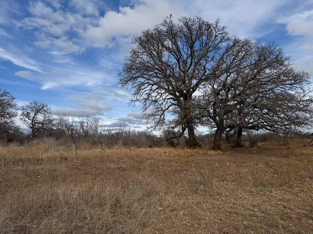 a view of a lake with houses in the back