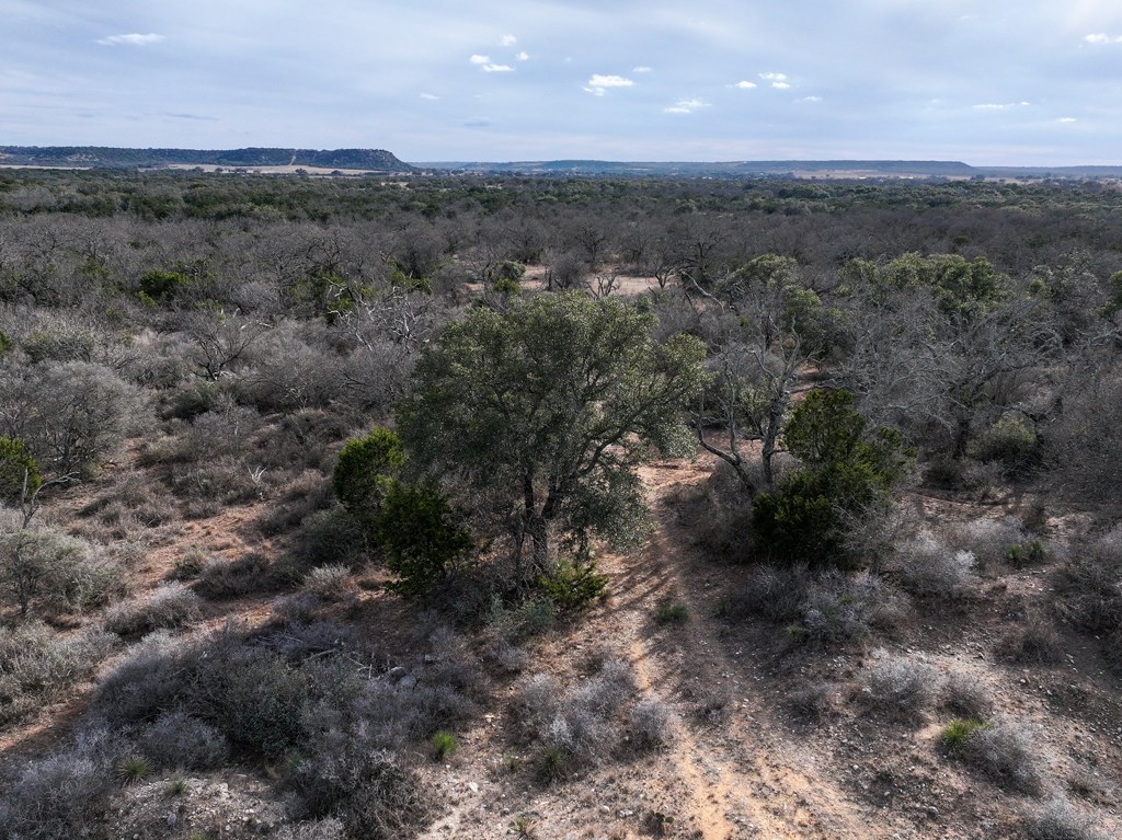0 Langes Mill Road Doss, TX 78618 - Photo 11 of 15 a view of a field with trees