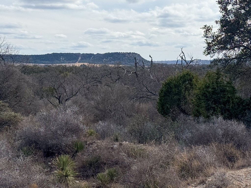 0 Langes Mill Road Doss, TX 78618 - Photo 13 of 15 a view of mountains and mountain view
