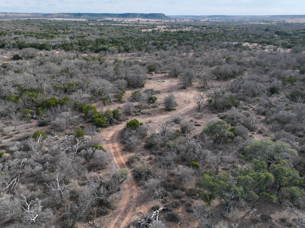 0 Langes Mill Road Doss, TX 78618 - Photo 14 of 15 a view of a field with trees in background